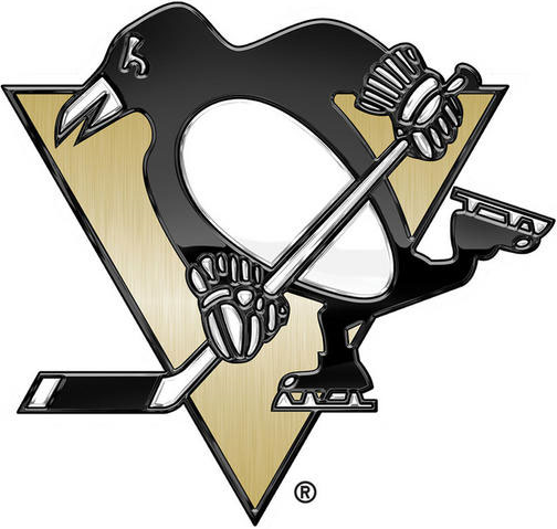 Pittsburgh Penguins 2014 Special Event Logo fabric transfer